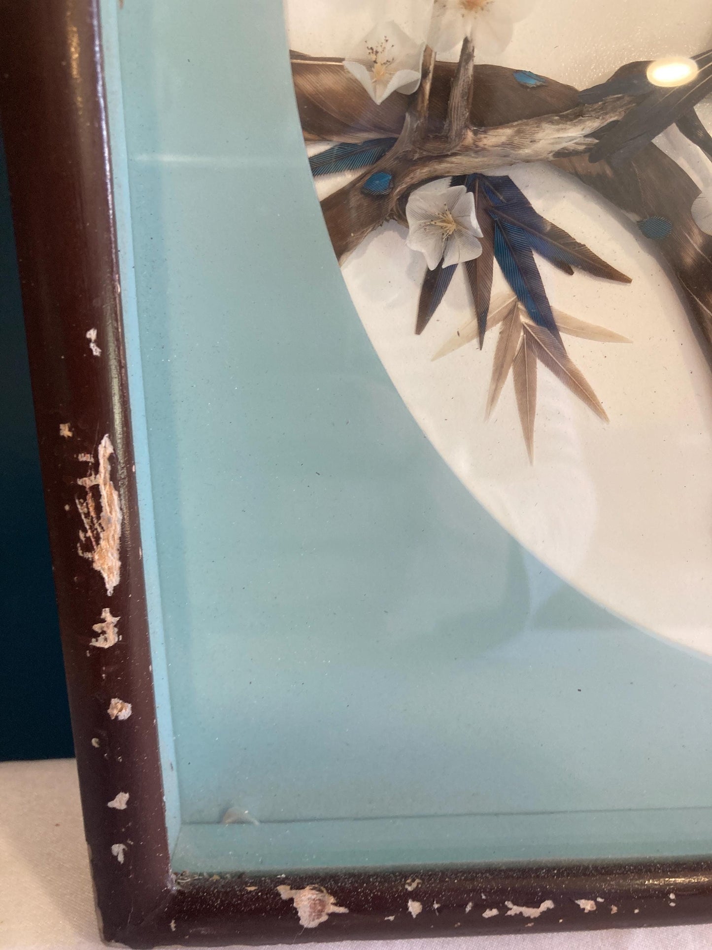 Vintage Chinese 3D Birds Picture Asian Mosaic Feather Art in Shadowbox wood Frame