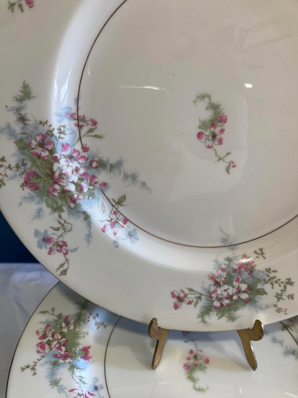 Mid-Century Theodore Haviland Dinner Plates–“Apple Blossom” Floral, Set of 12
