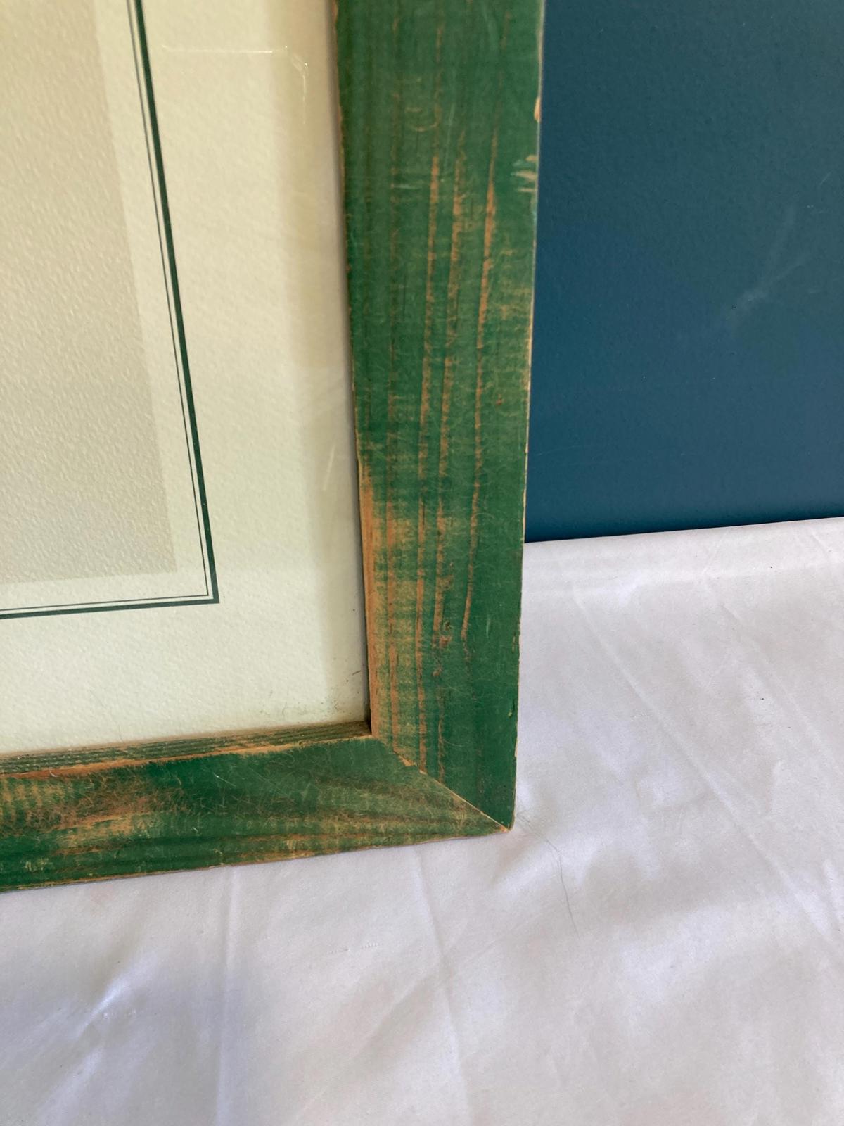 Vintage Ernst Benary Erfurt Swiss Chard Framed Print