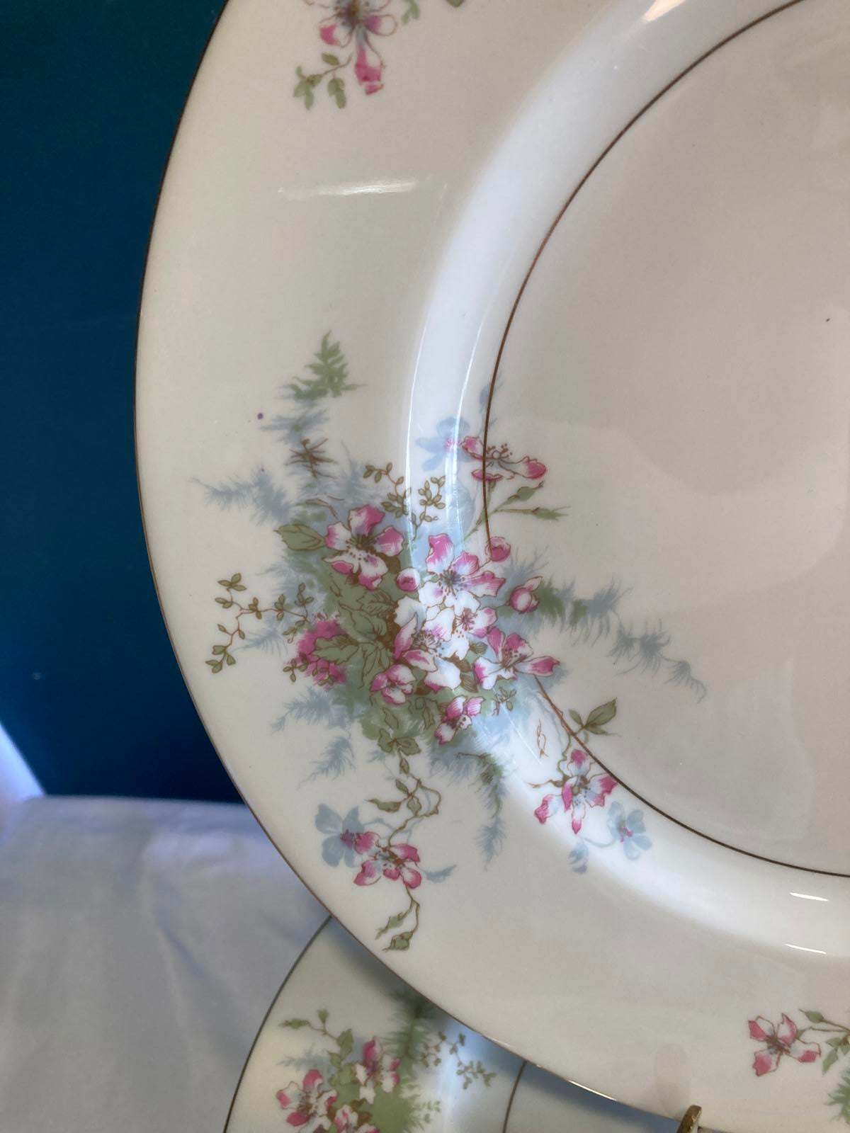 Mid-Century Theodore Haviland Dinner Plates–“Apple Blossom” Floral, Set of 12