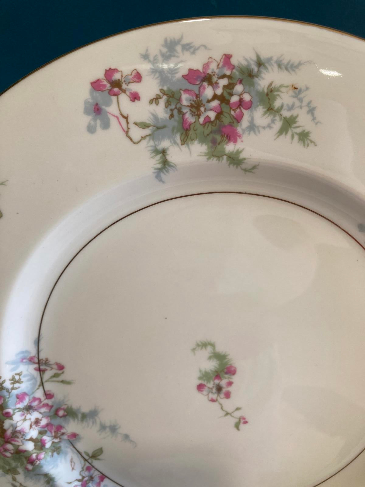 Mid-Century Theodore Haviland Dinner Plates–“Apple Blossom” Floral, Set of 12