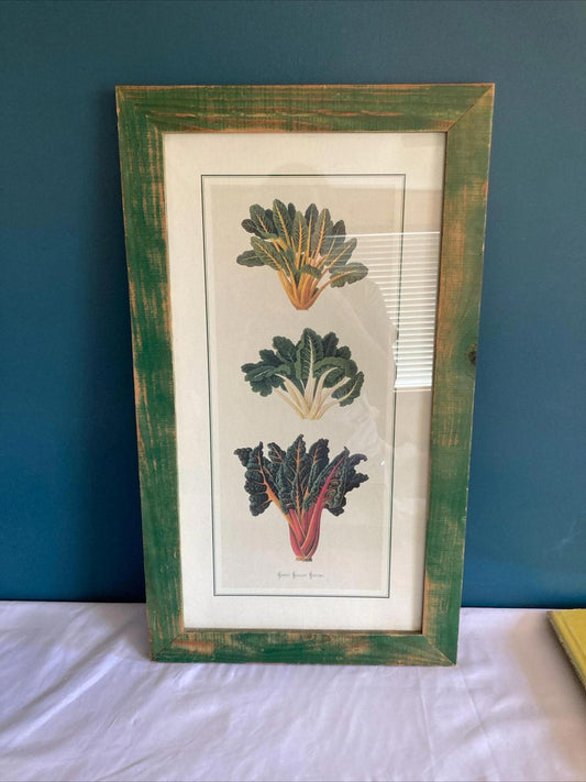 Vintage Ernst Benary Erfurt Swiss Chard Framed Print