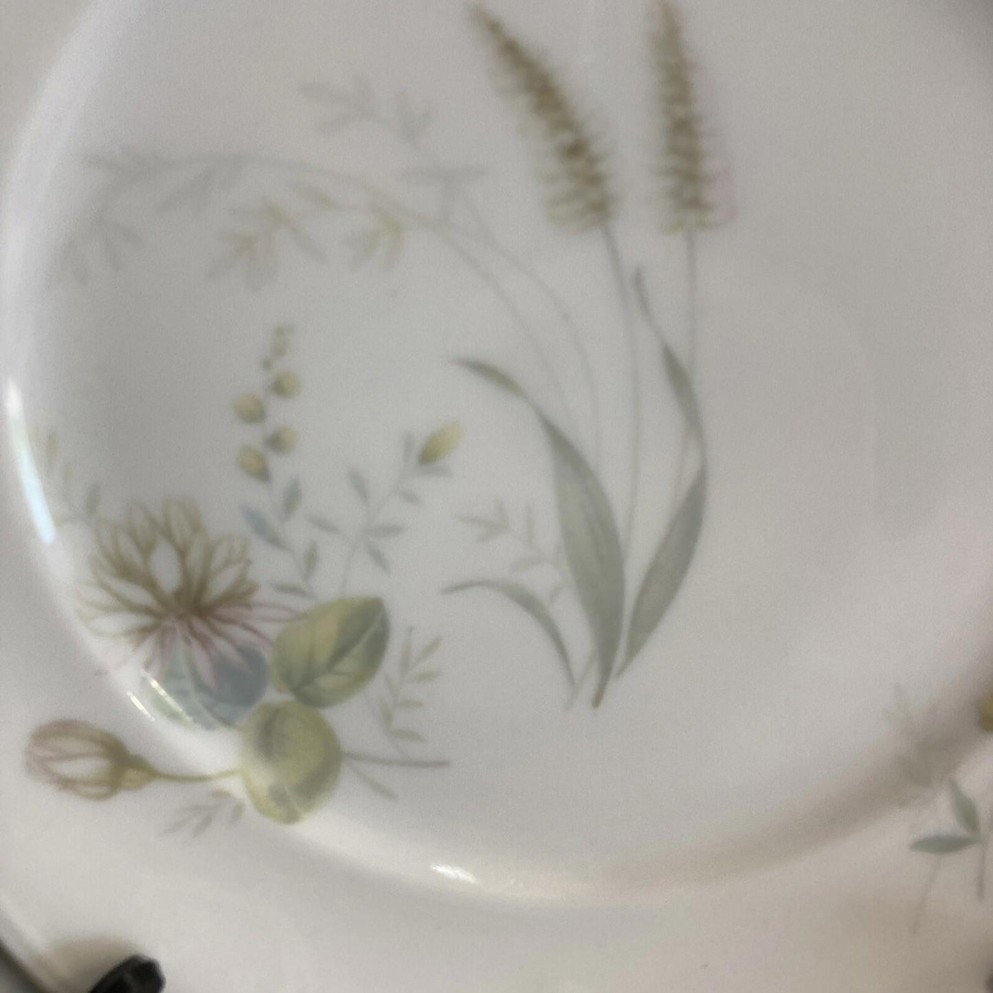 Set of 8 Forest Harvest Thistle Bread Plates with Gold Rims- Bavaria Germany