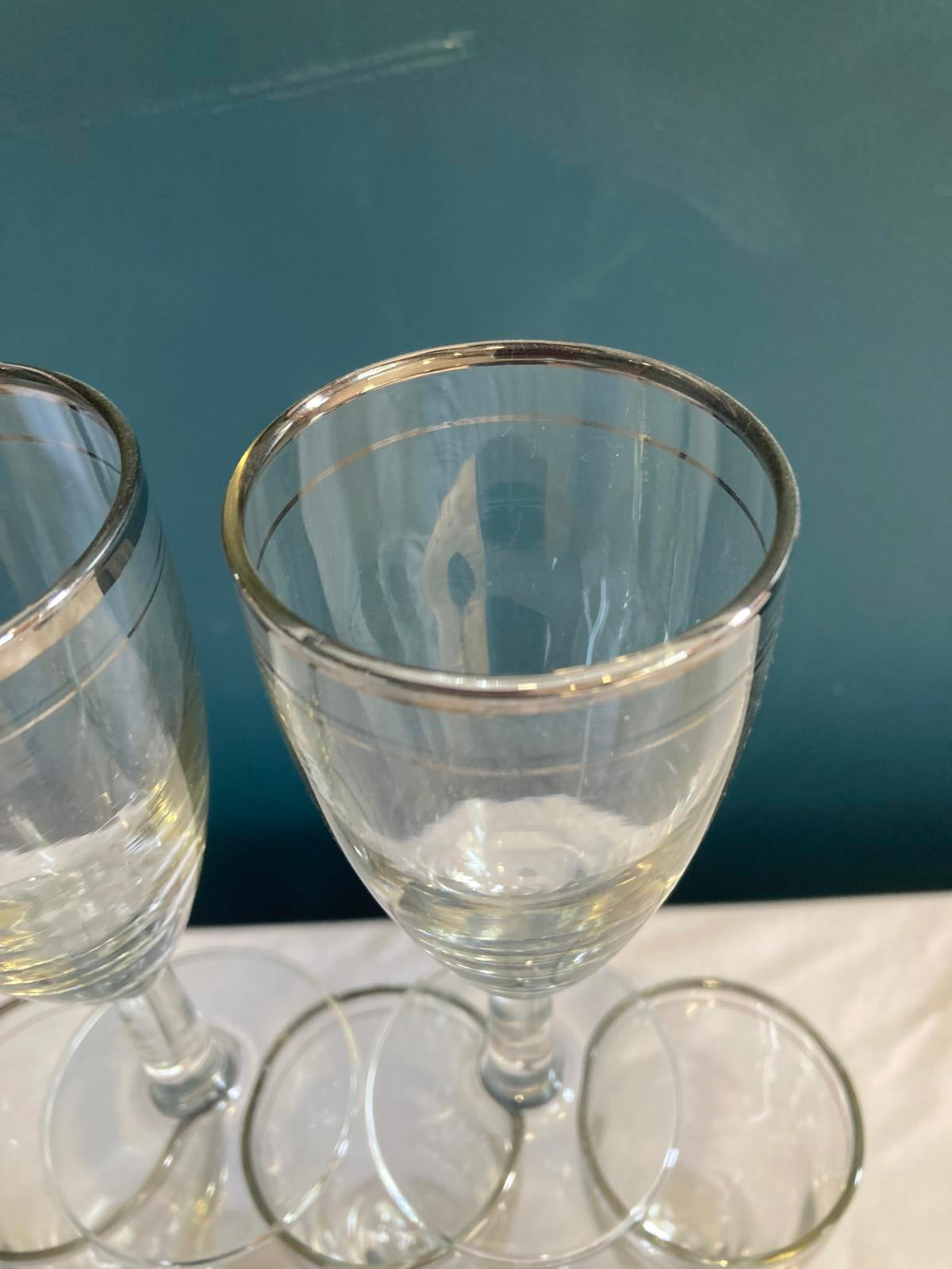 Vintage Javit Platinum Rimmed Glasses, set of 5