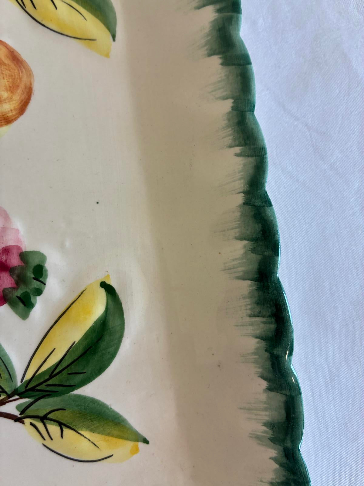Vintage NSP Italy Hand Painted Fruit Plate Italian Pottery with Green Trim