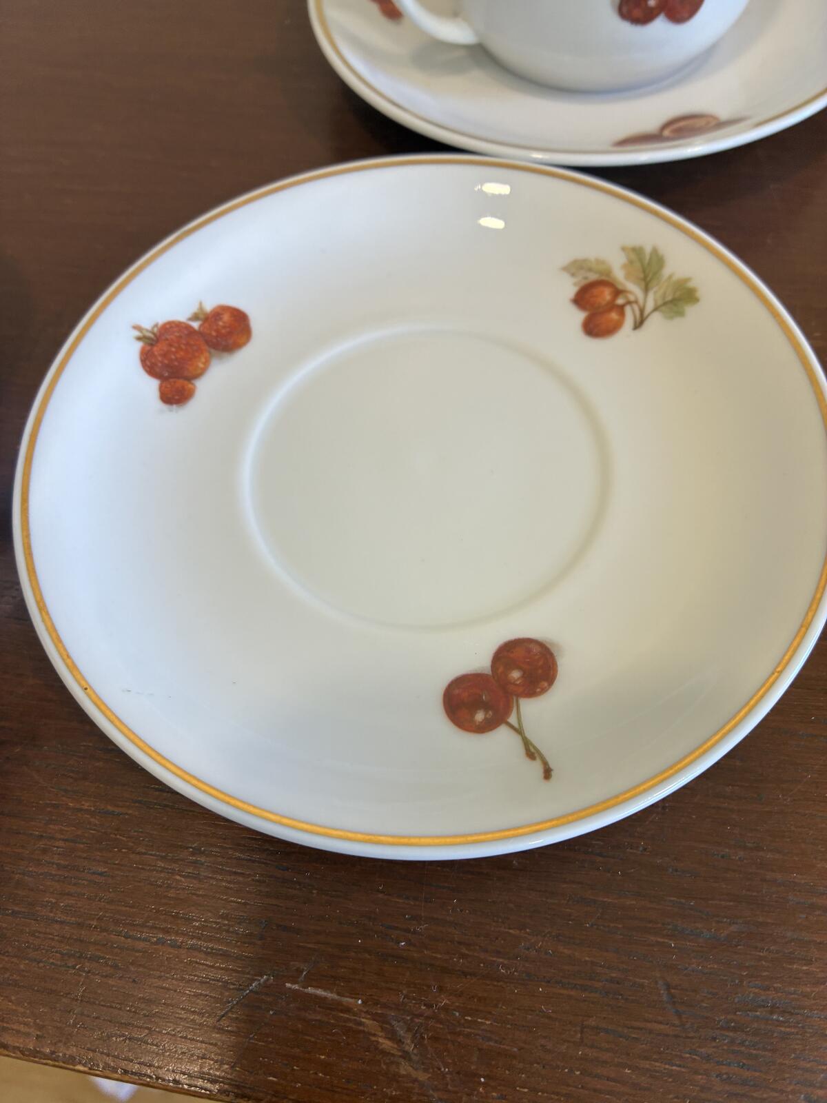 Vintage Seltmann Weiden Bavaria German Fruit & Nut Tea Cups & Saucers Set of 6