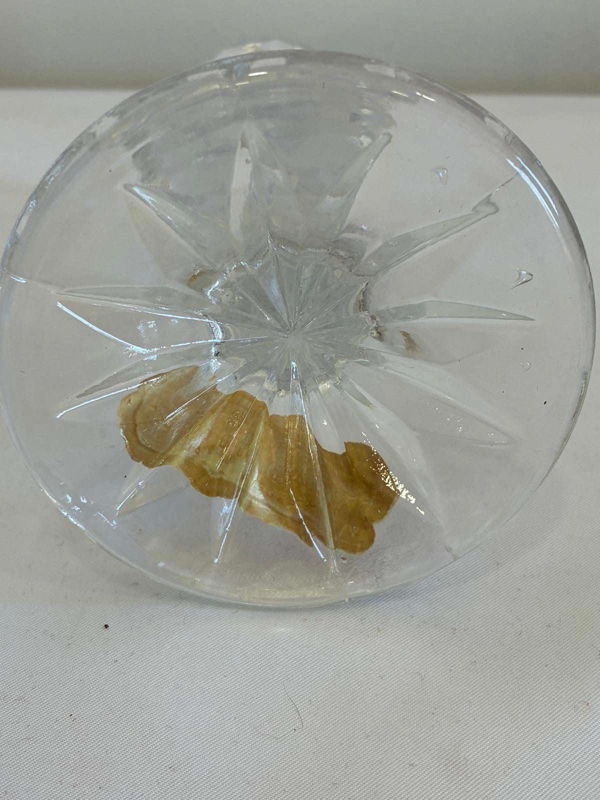 Rosa Di Roma Crystal Candle Holders Made in Italy Set of 2 Vintage Finds