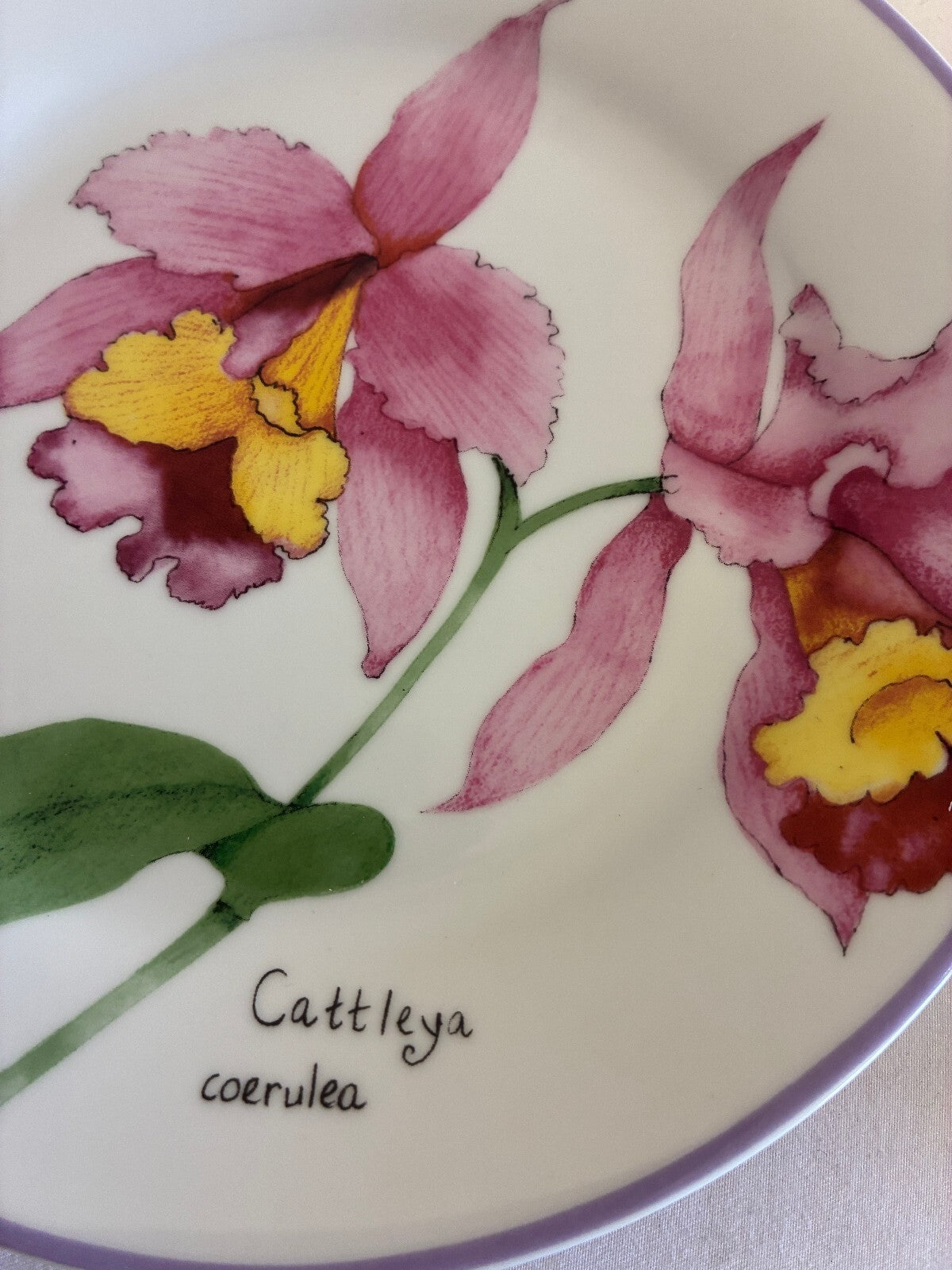 Vintage Trazos Criollos Orchid Plates, Set of 4, Dominican Republic