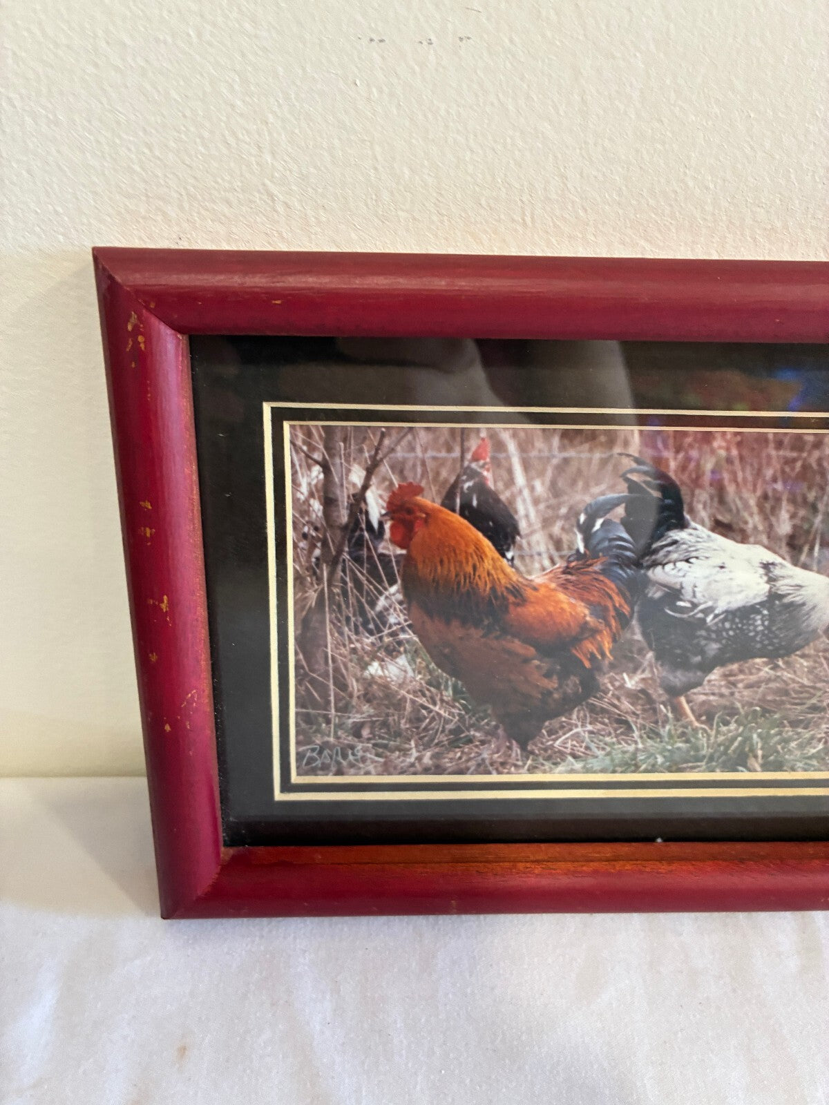 Vintage Signed Rooster Photograph in Wood Frame | Farmhouse Chicken Wall Art