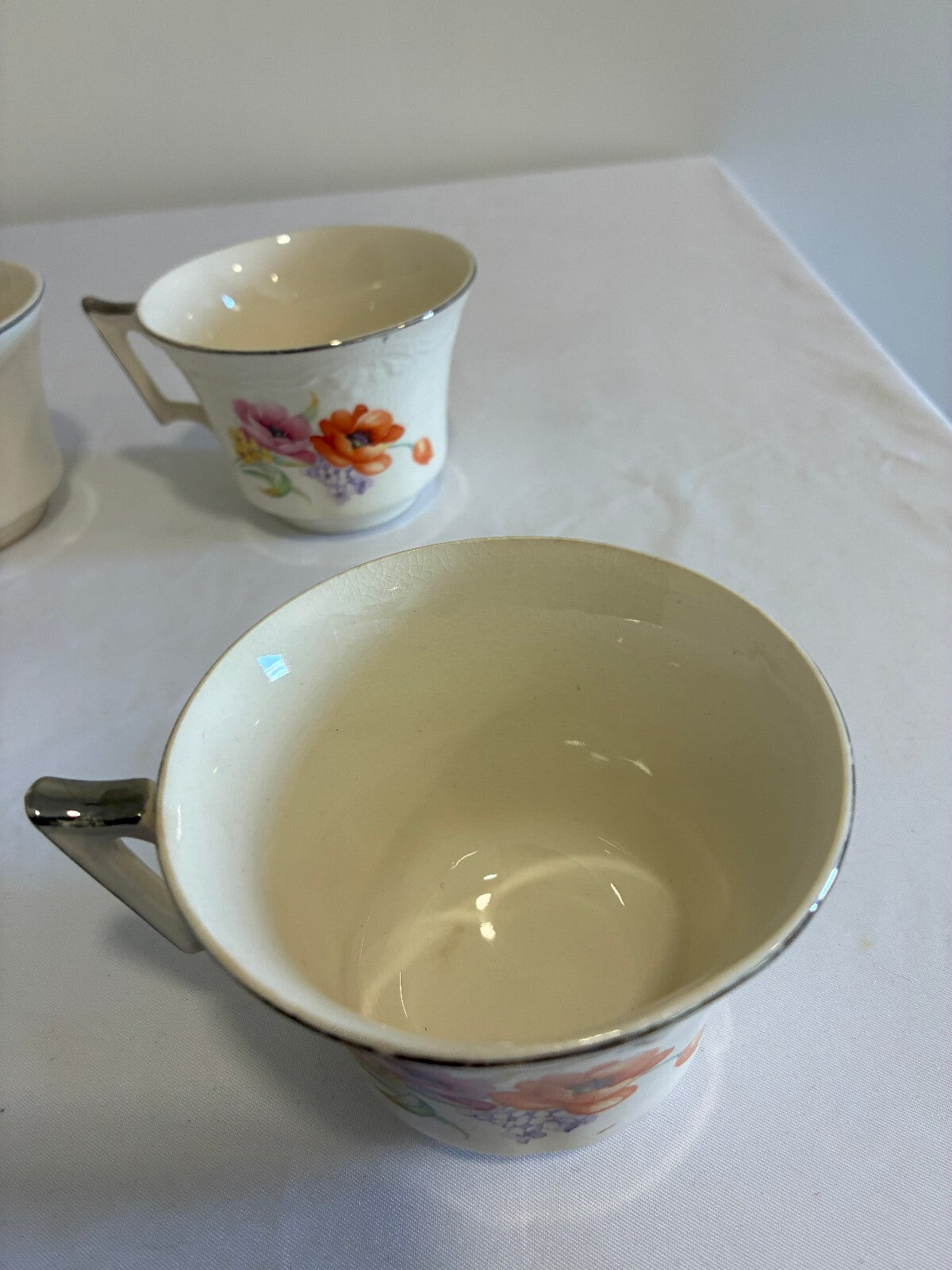 Vintage Ivory China Teacups with Platinum Trim, Set of 6 | Poppy Floral Pattern