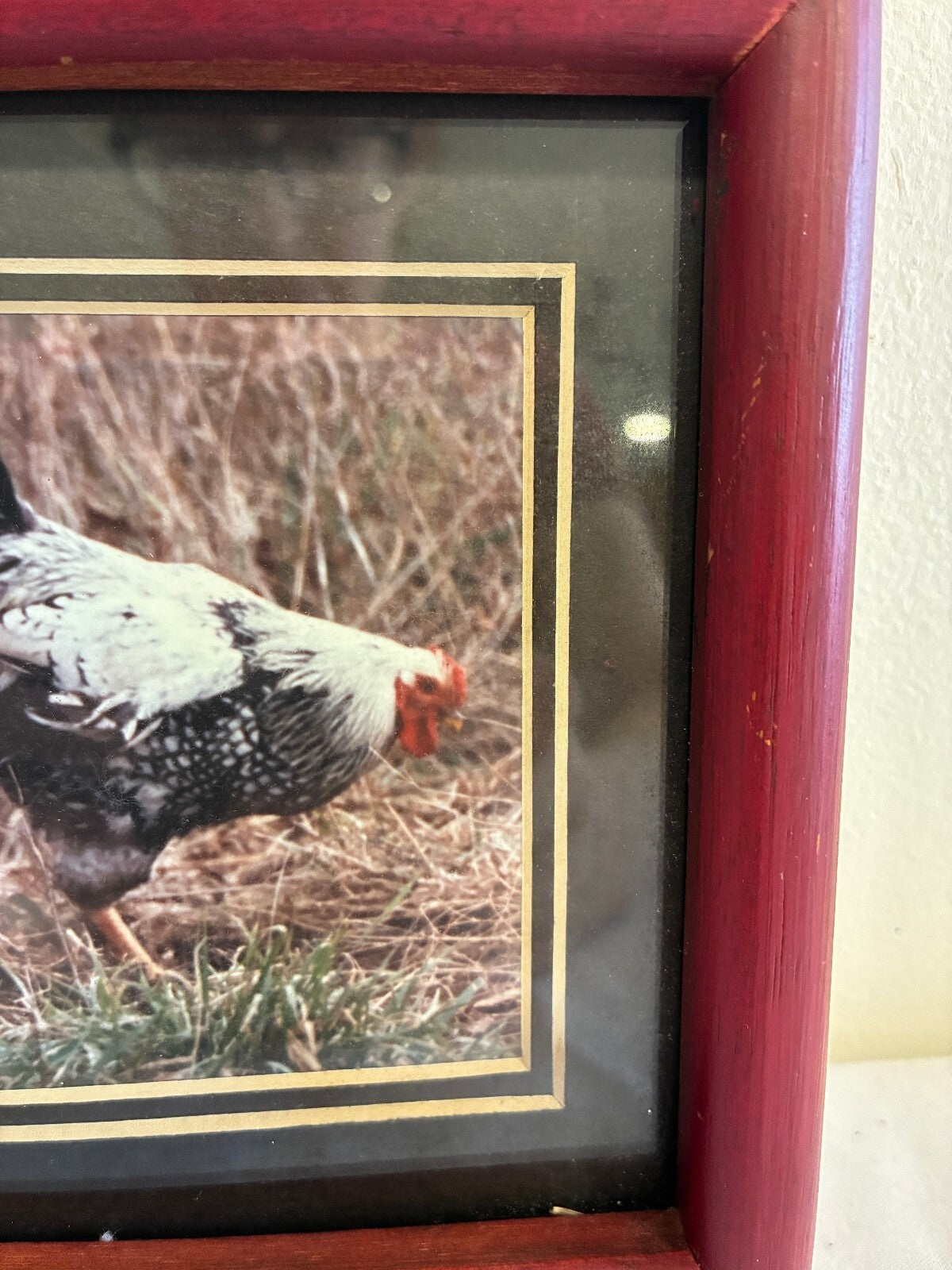 Vintage Signed Rooster Photograph in Wood Frame | Farmhouse Chicken Wall Art