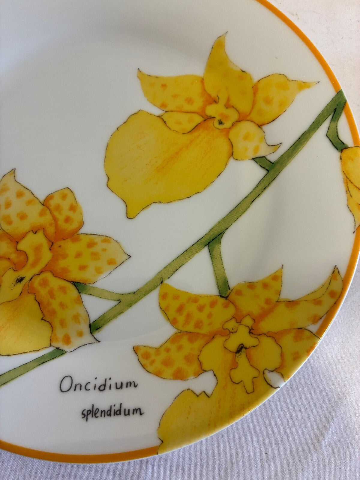 Vintage Trazos Criollos Orchid Plates, Set of 4, Dominican Republic