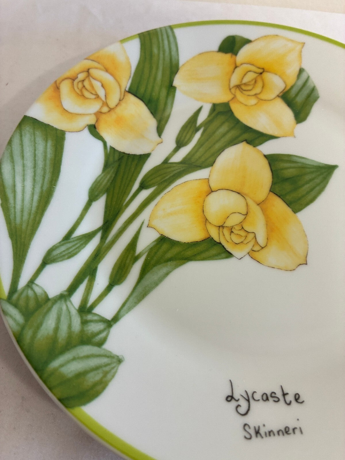 Vintage Trazos Criollos Orchid Plates, Set of 4, Dominican Republic