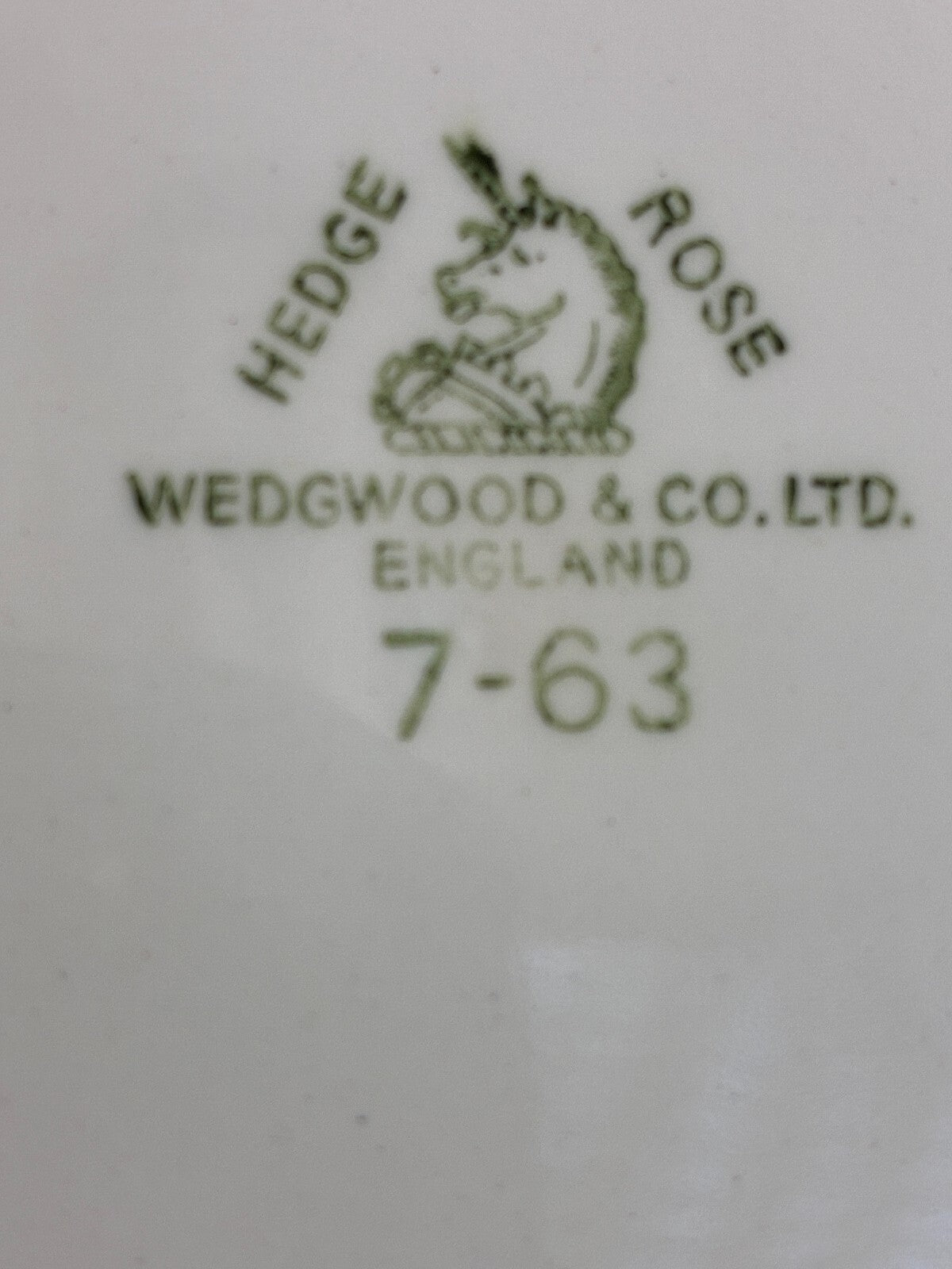 Vintage Wedgwood Hedge Rose Bread Plates Set of 7 White Embossed English China