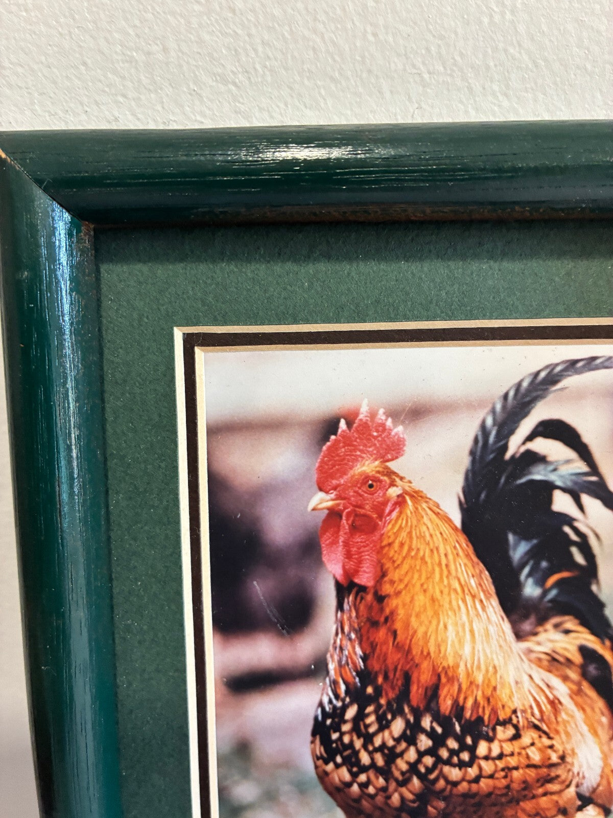 Vintage Signed Chicken Photograph in Wood Frame | Farmhouse Wall Art