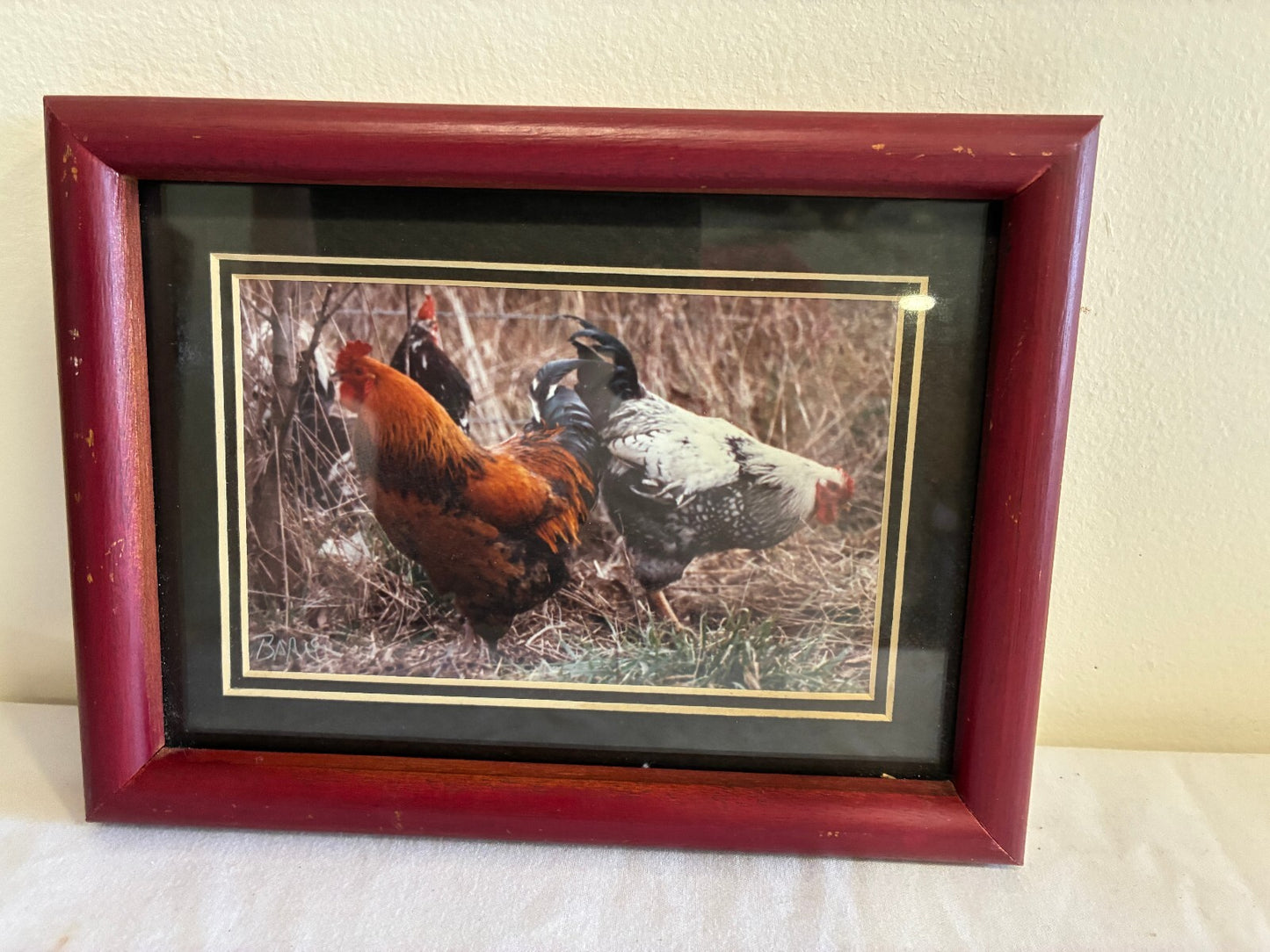 Vintage Signed Rooster Photograph in Wood Frame | Farmhouse Chicken Wall Art