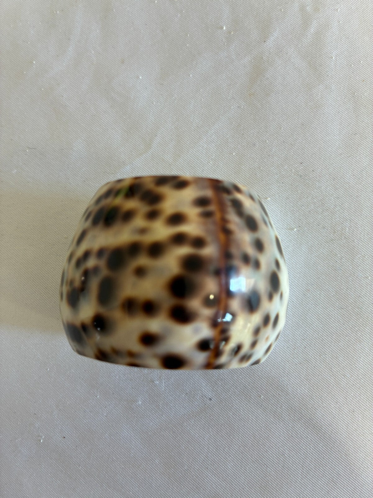 Set of 4 Cowrie Shell Tiger Napkin Rings, Spotted Seashell Table Decor, Coastal