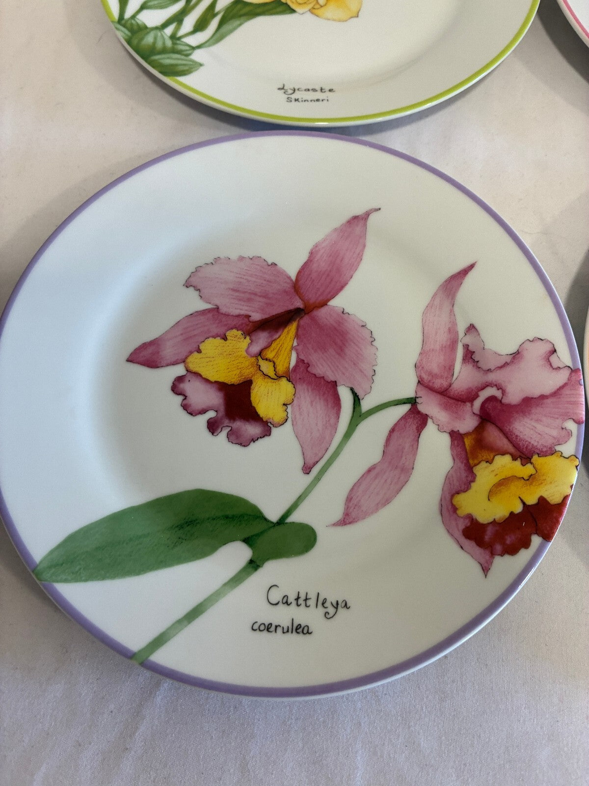 Vintage Trazos Criollos Orchid Plates, Set of 4, Dominican Republic
