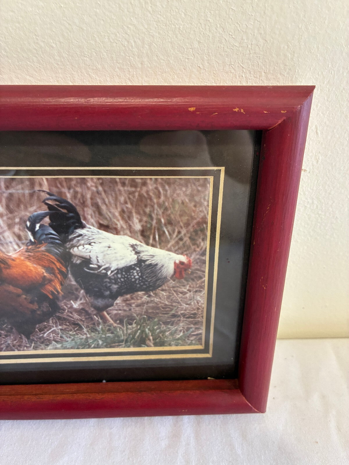 Vintage Signed Rooster Photograph in Wood Frame | Farmhouse Chicken Wall Art