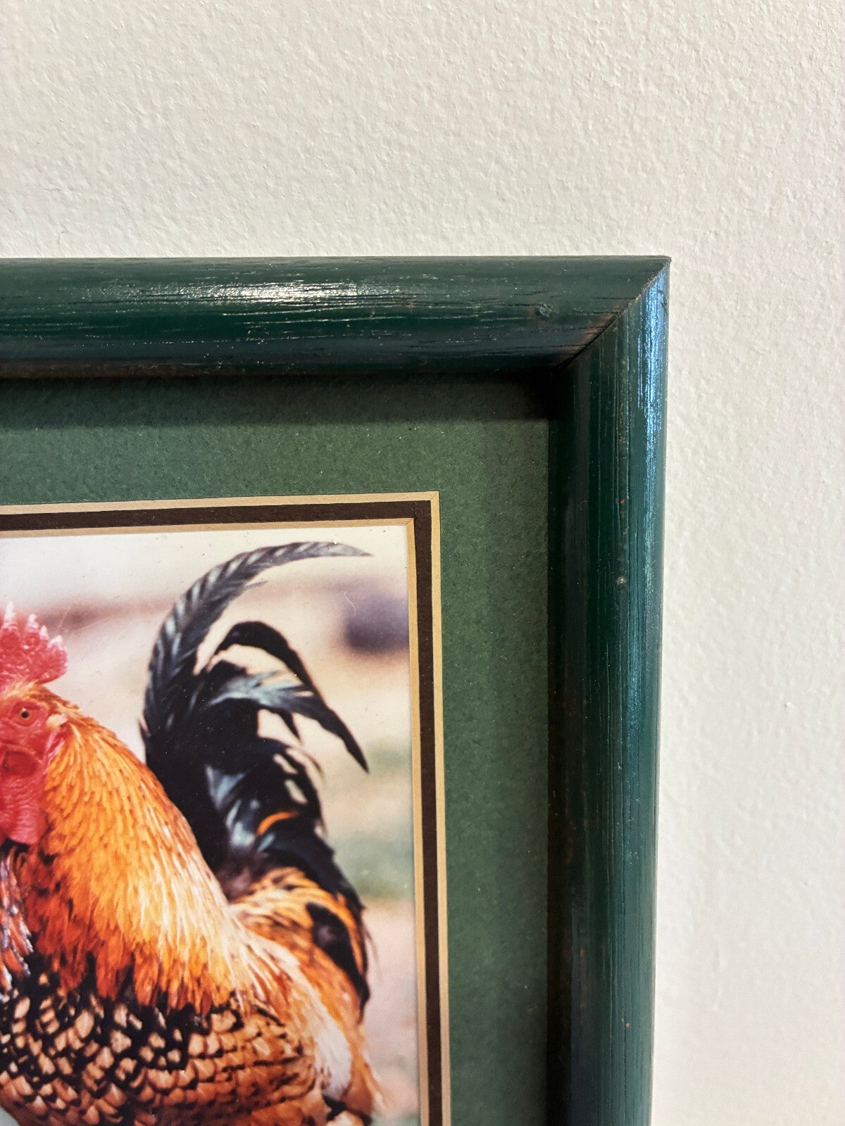 Vintage Signed Chicken Photograph in Wood Frame | Farmhouse Wall Art