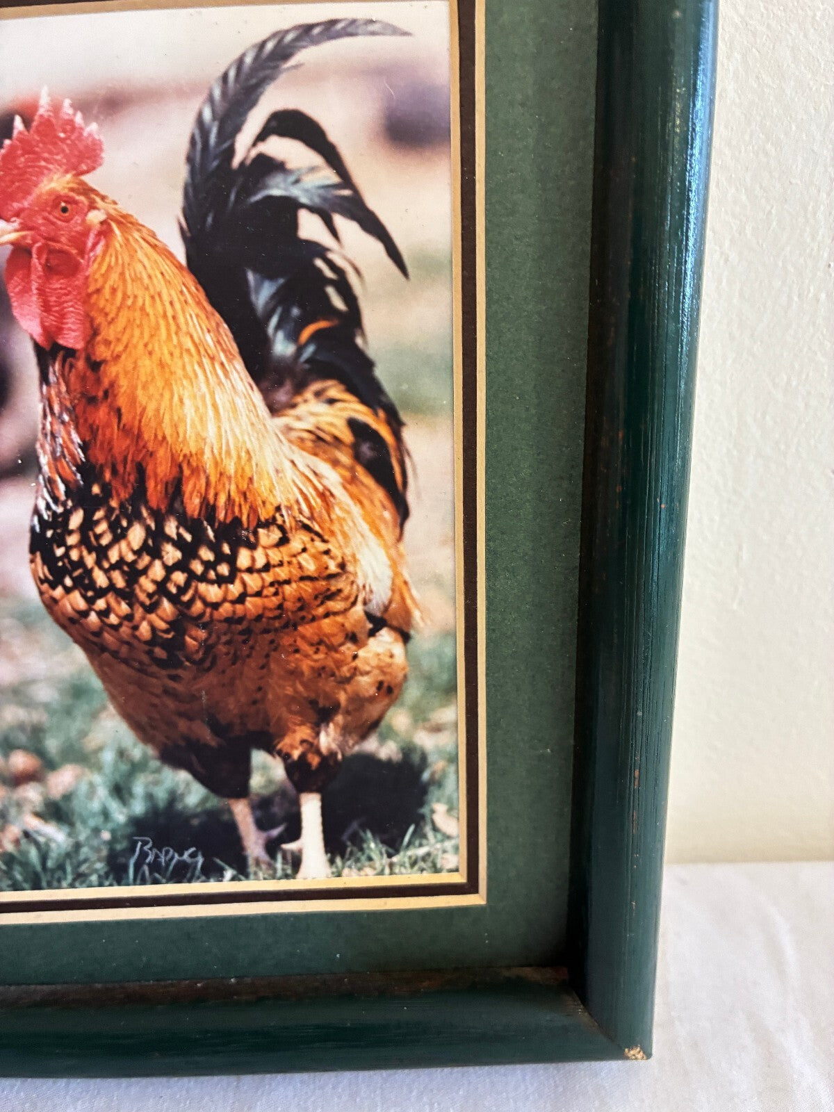 Vintage Signed Chicken Photograph in Wood Frame | Farmhouse Wall Art