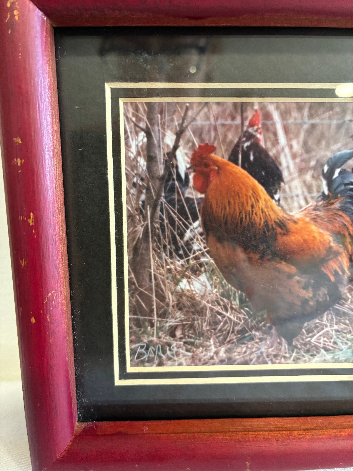 Vintage Signed Rooster Photograph in Wood Frame | Farmhouse Chicken Wall Art