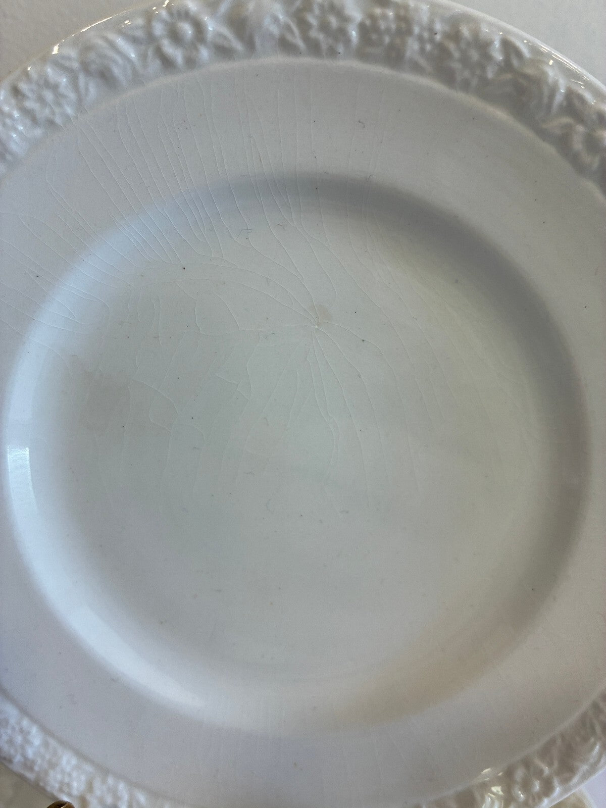 Vintage Wedgwood Hedge Rose Bread Plates Set of 7 White Embossed English China