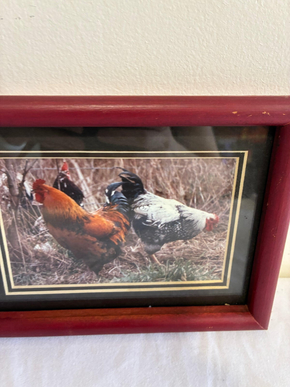 Vintage Signed Rooster Photograph in Wood Frame | Farmhouse Chicken Wall Art