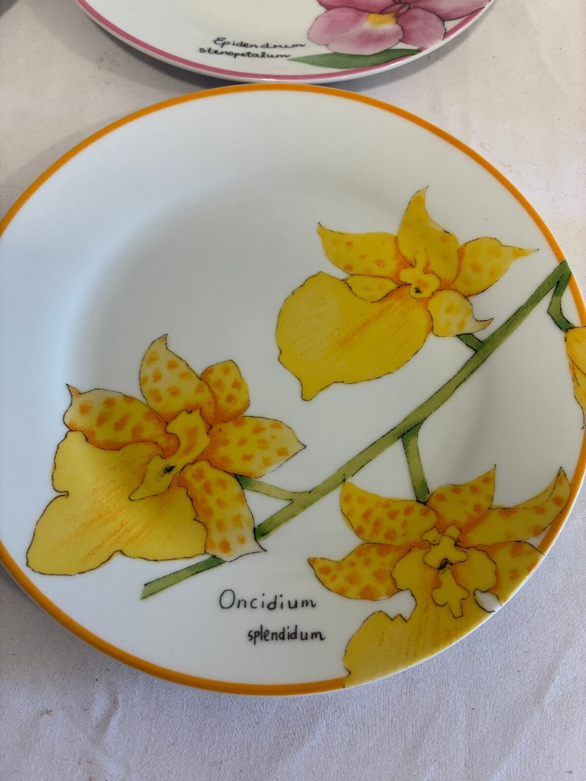 Vintage Trazos Criollos Orchid Plates, Set of 4, Dominican Republic