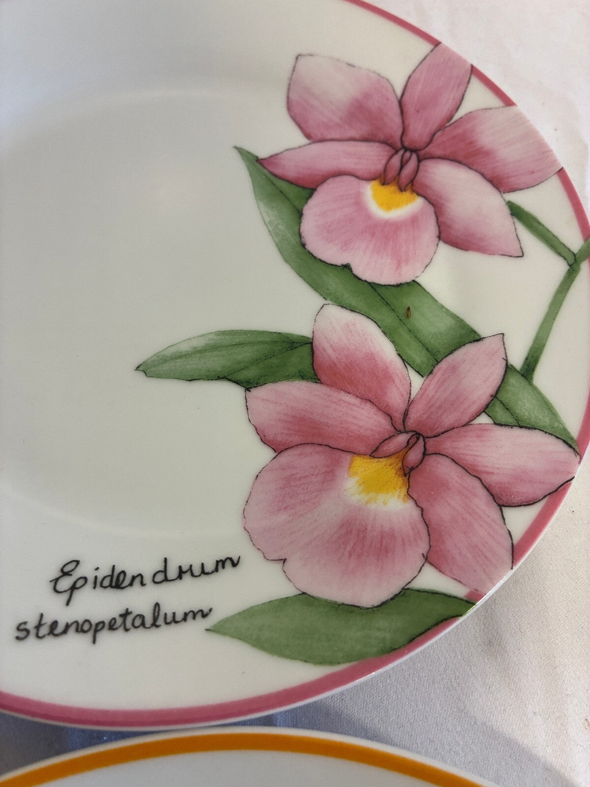 Vintage Trazos Criollos Orchid Plates, Set of 4, Dominican Republic