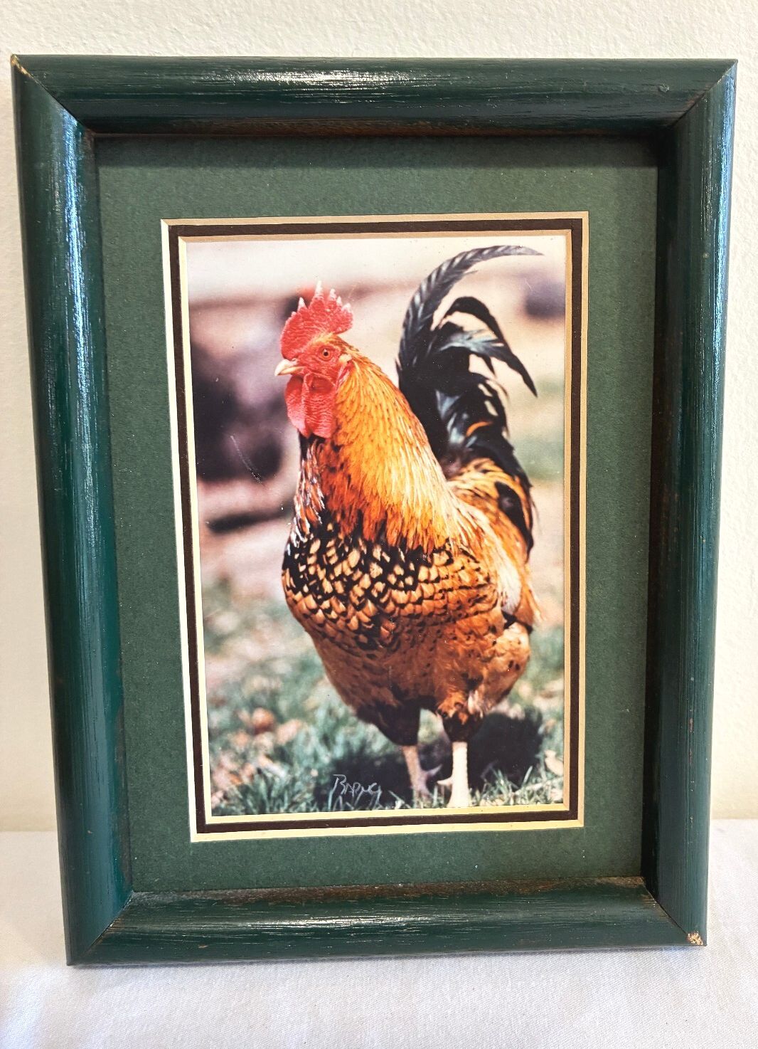 Vintage Signed Chicken Photograph in Wood Frame | Farmhouse Wall Art